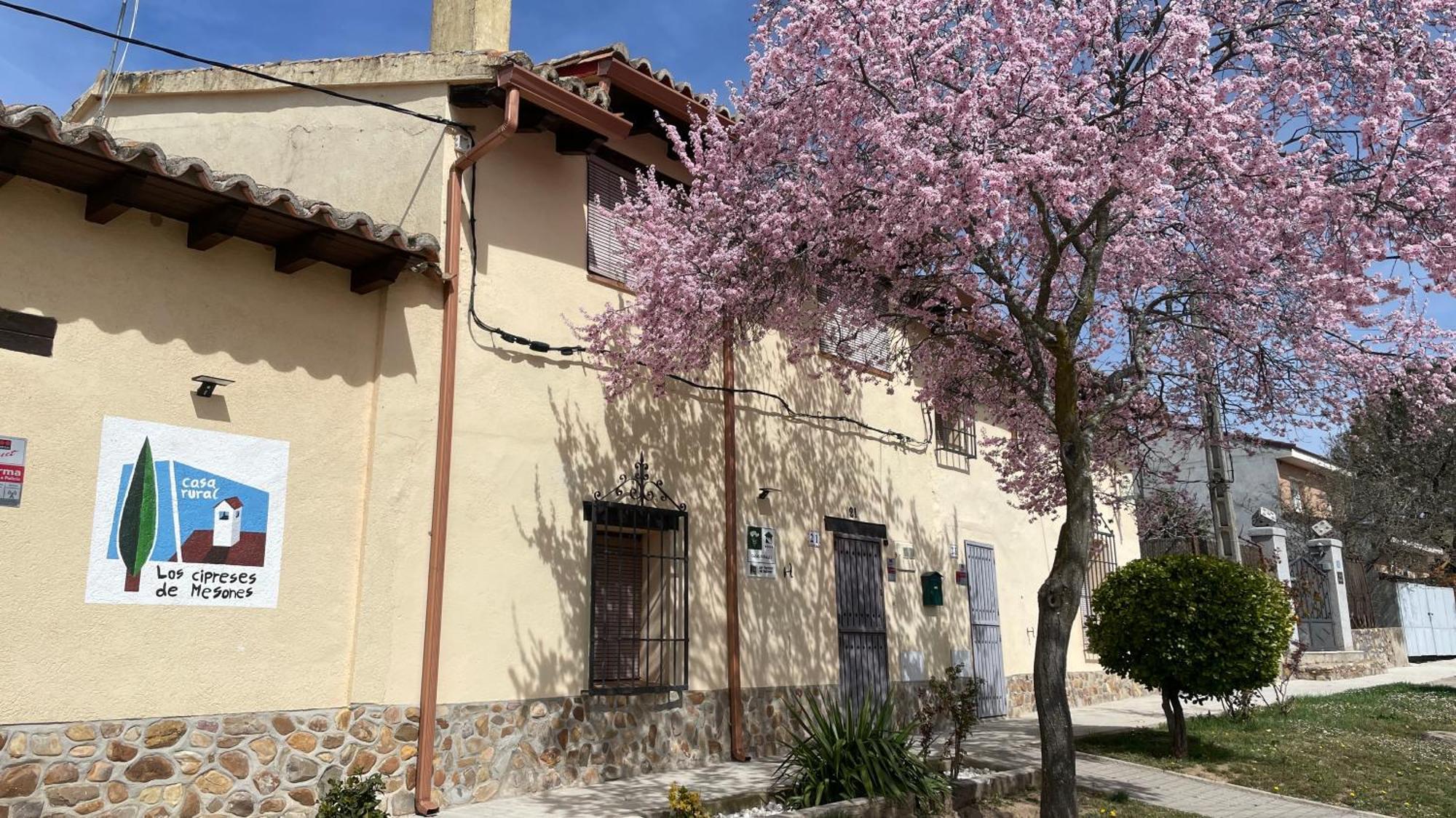 Los Cipreses De Mesones Mesones  Dış mekan fotoğraf